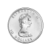 Pièce 1/4 once de platine Feuille d'érable canadienne Année aléatoire
