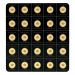 25 gram (25 x 1 g) 2020 MapleGram25 Sheet of Gold Coins | Royal Canadian Mint