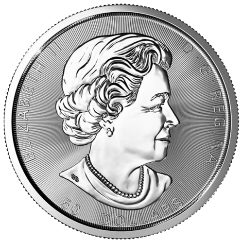Pièce 10 onces d'argent Magnifique Feuille d'érable 2020 | Monnaie royale canadienne