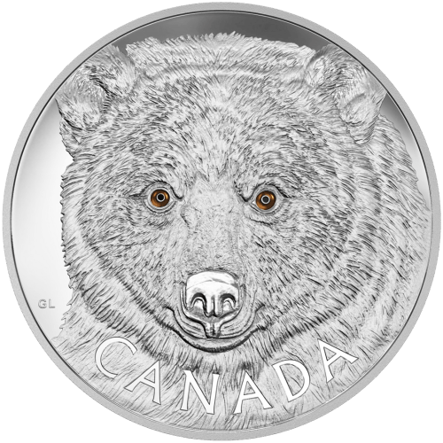 Pièce 1 kilo d'argent Le regard de l'Ours Esprit 2016 | Monnaie royale canadienne