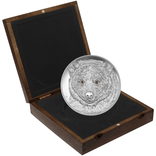Pièce 1 kilo d'argent Le regard de l'Ours Esprit 2016 | Monnaie royale canadienne