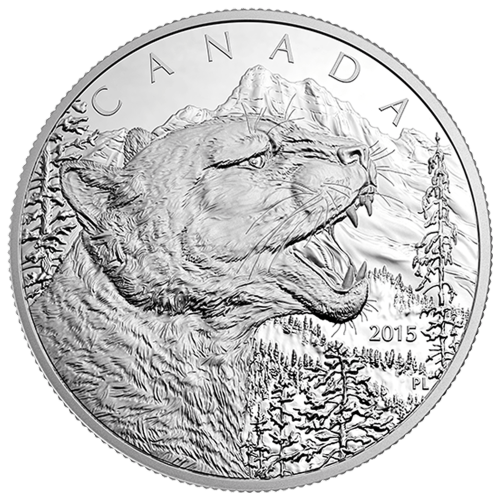 Pièce 1/2 kilo d'argent Monnaie royale canadienne Année aléatoire