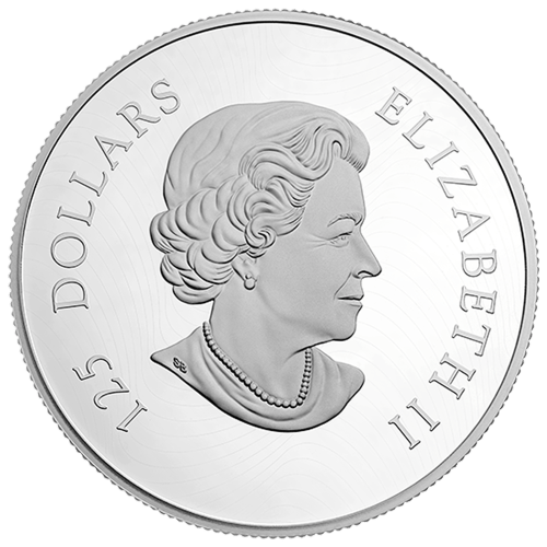 Pièce 1/2 kilo d'argent Monnaie royale canadienne Année aléatoire