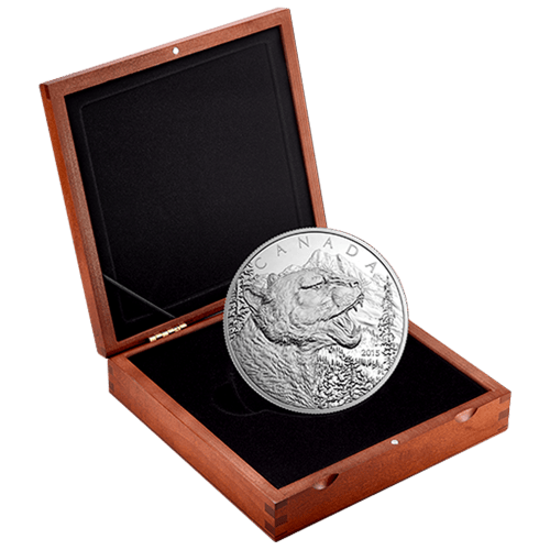 Pièce 1/2 kilo d'argent Monnaie royale canadienne Année aléatoire