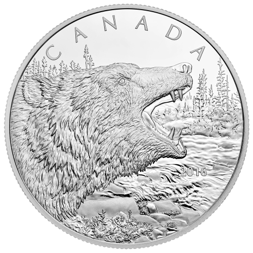 1/2 kilo 2019 Royal Canadian Mint Primal Predators |The Grizzly Silver Coin