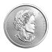 Pièce 2 onces d'argent Deux feuilles d'érable canadiennes Année aléatoire | Monnaie royale canadienne