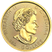 1.5 oz Random Year Canadian Maple Leaf Superleaf Gold Coin | Royal Canadian Mint