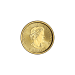 Pièce 1/10 once Ours polaire Année aléatoire | Monnaie royale canadienne