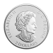 3/4 oz 2018 Canadian Wolverine Silver Coin | Royal Canadian Mint