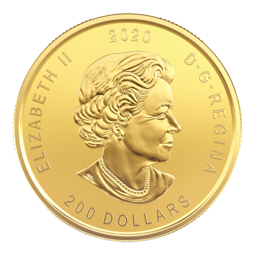 1 oz 2020 Call of the Wild Series Bobcat Gold Coin | Royal Canadian Mint