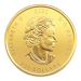 1 oz 2020 Call of the Wild Series Bobcat Gold Coin | Royal Canadian Mint