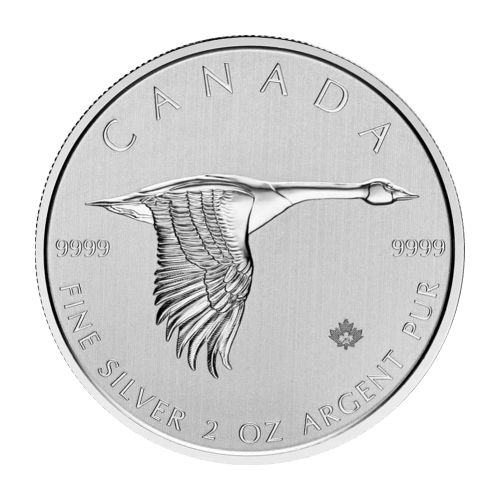 2 oz 2020 Canadian Goose Silver Coin | Royal Canadian Mint