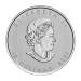 2 oz 2020 Canadian Goose Silver Coin | Royal Canadian Mint