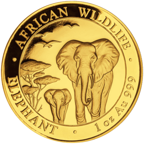 1 oz Random Year Somalian African Elephant Gold Coin