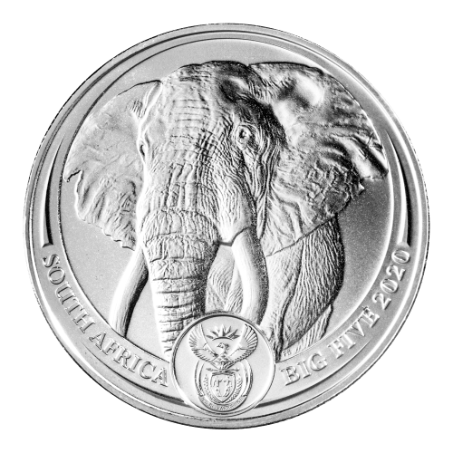 Pièce 1 once de platine Éléphant 2020