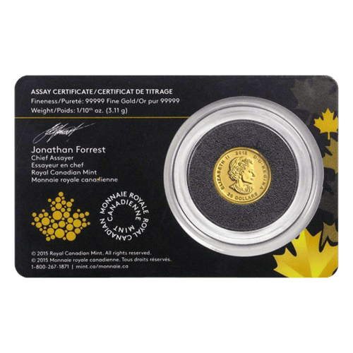 Pièce 1/10 once d’or Série L’Appel de la nature Cougar grondant 2016 | Monnaie royale canadienne