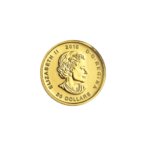 Pièce 1/10 once d’or Série L’Appel de la nature Cougar grondant 2016 | Monnaie royale canadienne