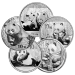Pièce 1 once argent Panda Chine Année aléatoire | Monnaie chinoise
