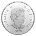 Pièce 2 onces d'argent Icônes imposantes | Mouflon d'Amérique colorisée 2020 Monnaie royale canadienne