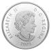 Pièce 2 onces d'argent Icônes imposantes | Orignal colorisée 2020 Monnaie royale canadienne