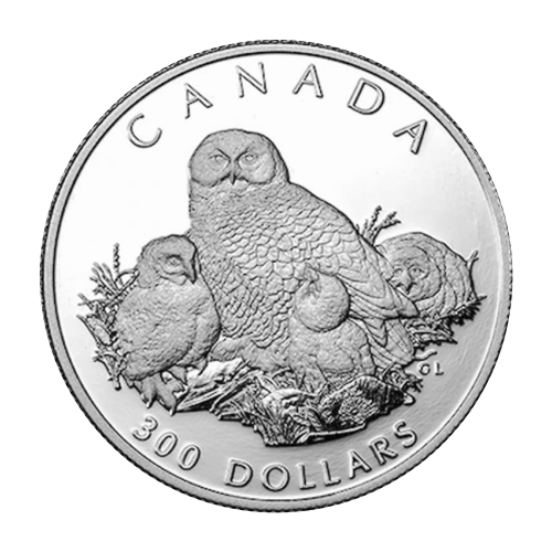 Set of 4 x 1991 Snowy Owl Platinum Proof Coin Set | Royal Canadian Mint