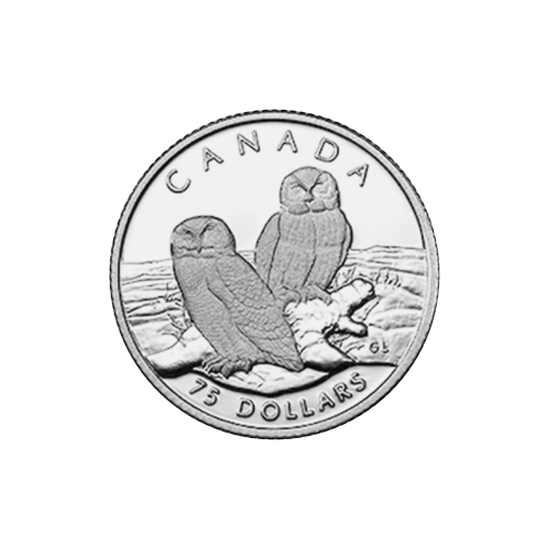 Set of 4 x 1991 Snowy Owl Platinum Proof Coin Set | Royal Canadian Mint