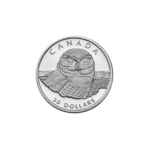 Set of 4 x 1991 Snowy Owl Platinum Proof Coin Set | Royal Canadian Mint