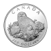 Set of 4 x 1991 Snowy Owl Platinum Proof Coin Set | Royal Canadian Mint
