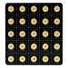 Plaquette de pièces d'or 25 grammes (25 x 1 g) MapleGram 2021 | Monnaie royale canadienne
