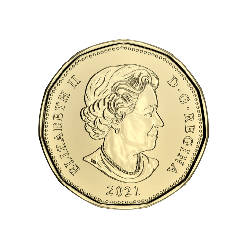 Set of 6 x 2021 Classic Coins | Royal Canadian Mint