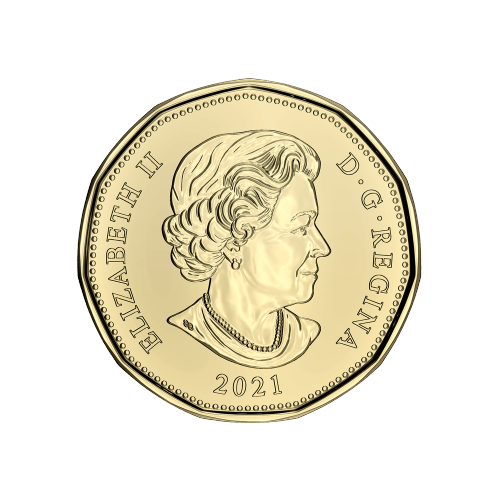 Set of 5 x 2021 Newborn Baby Coins | Royal Canadian Mint