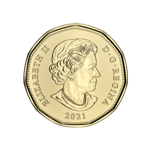 Ensemble de 5 pièces Joyeux anniversaire 2021 | Monnaie royale canadienne