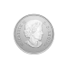 1/4 oz 2021 Moments to Hold: 100th Anniversary of the Arms of Canada Silver Coin | Royal Canadian Mint