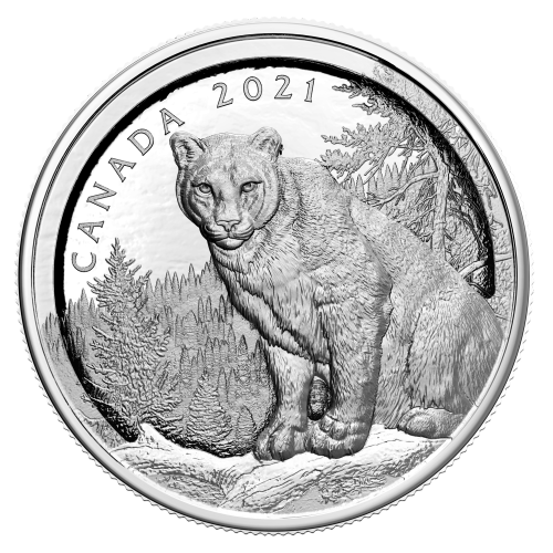 2021 Multilayered Cougar Silver Coin | The Royal Canadian Mint