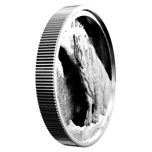 2021 Multilayered Cougar Silver Coin | The Royal Canadian Mint