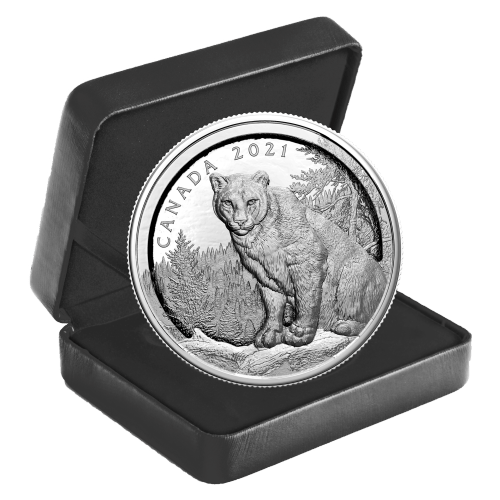 2021 Multilayered Cougar Silver Coin | The Royal Canadian Mint