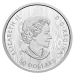 2021 Multilayered Cougar Silver Coin | The Royal Canadian Mint