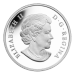 Pièce d'argent Renard arctique 2013 Monnaie royale canadienne