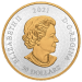 5 oz 2021 $50 The Avro Arrow Gold-Plated Silver Coin | Royal Canadian Mint
