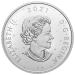 5 oz 2021 The Solar System Silver Coin | Royal Canadian Mint