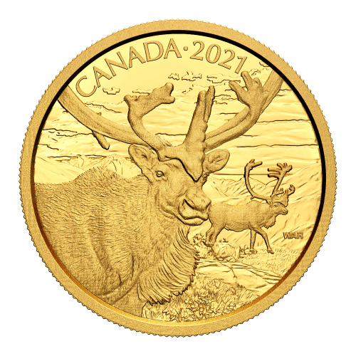 2021 Canadian Wildlife Portraits: The Caribou Gold Coin | Royal Canadian Mint