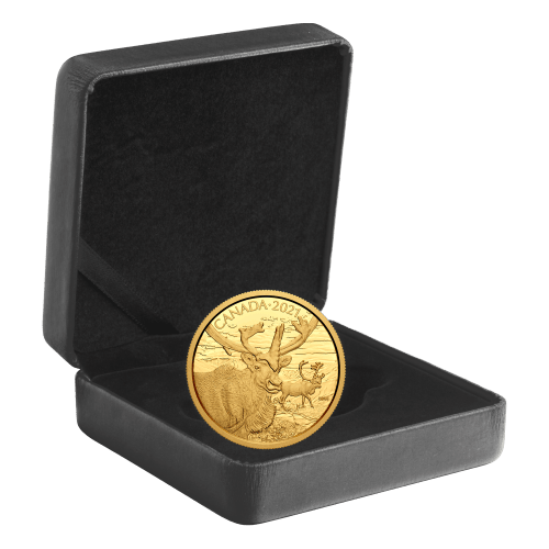 2021 Canadian Wildlife Portraits: The Caribou Gold Coin | Royal Canadian Mint