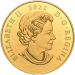 1 kilo 2022 Lunar Year of the Tiger Gold Coin | Royal Canadian Mint