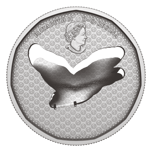 2020 Flying Loon Silver Coin | Royal Canadian Mint