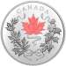 Pièce 10 onces d'argent Nos couleurs nationales 2021 | Monnaie royale canadienne