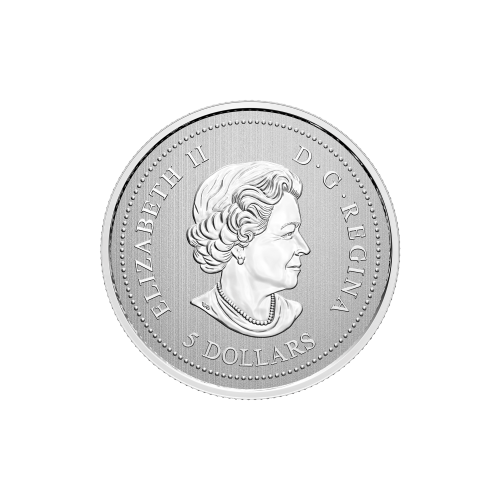 1/4 oz 2021 Royal Canadian Mint | Moments to Hold: The Snowbirds Silver Coin