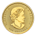 Pièce 1 once d'or à 99999 Ruée vers l'or du Klondike 2021 | Monnaie royale canadienne
