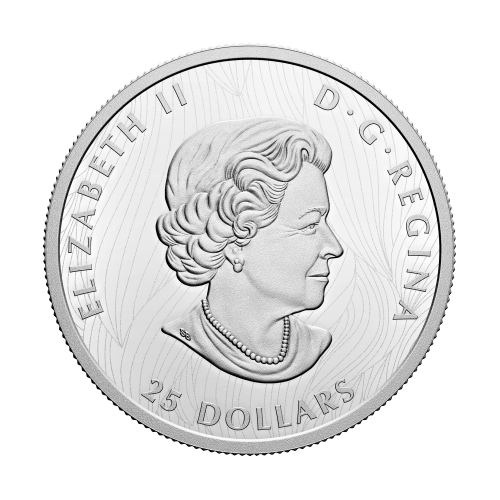 2021 Royal Canadian Mint | Bison Silver Coin