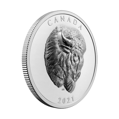 2021 Royal Canadian Mint | Bison Silver Coin