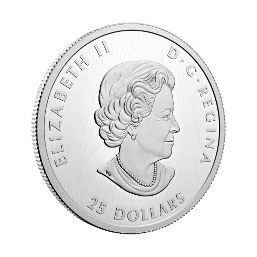 2021 Royal Canadian Mint | Bison Silver Coin